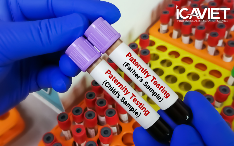 Xét nghiệm DNA được do các phòng thí nghiệm được Hiệp hội Ngân hàng Máu Hoa Kỳ (AABB) chỉ định