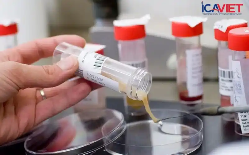 Visa định cư có thời hạn bao lâu?